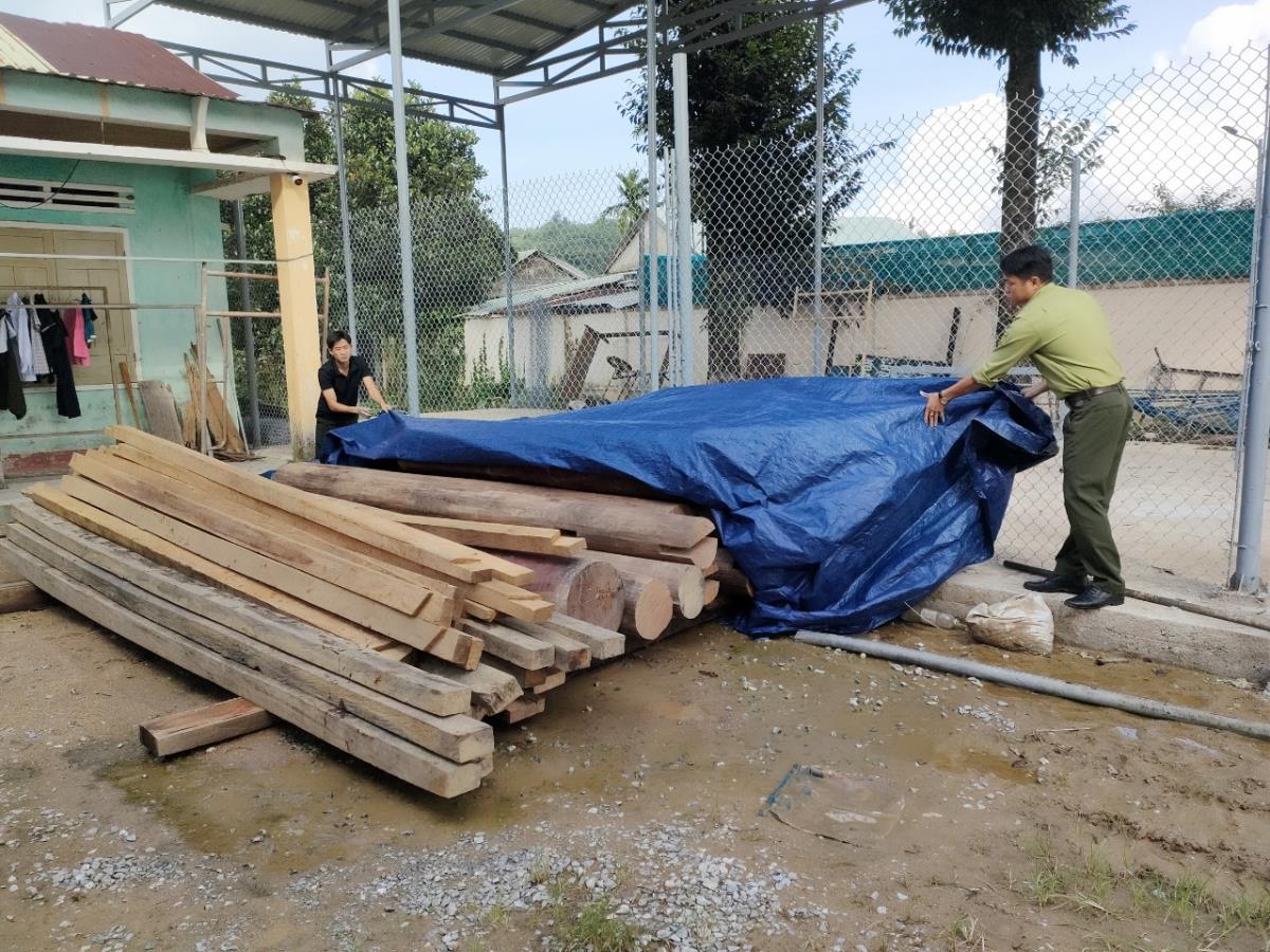 Số gỗ được phát hiện nằm trong lô đất của ông Võ Văn Ba.