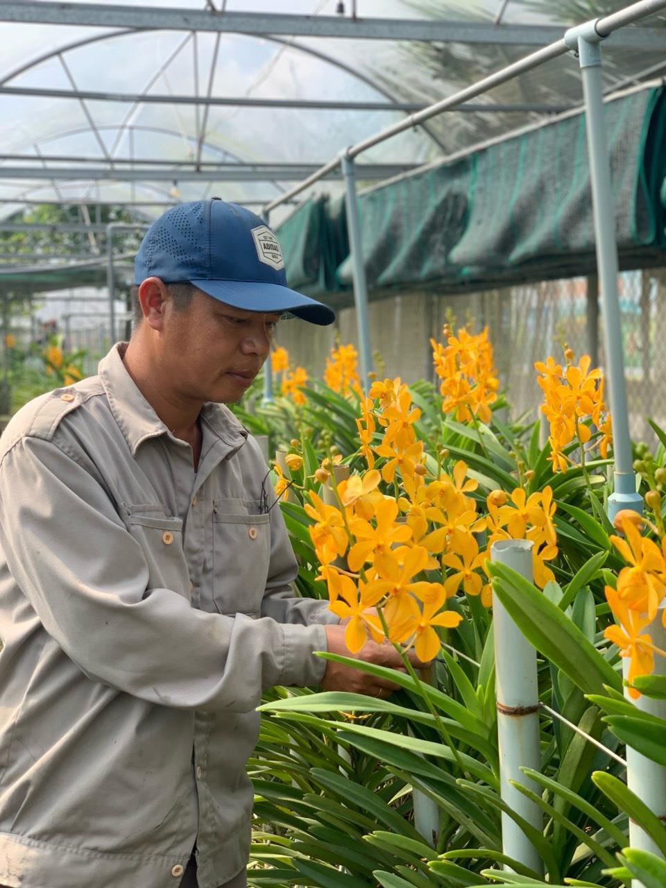 Một trong các vườn ươm Cty CP Dịch vụ công ích đô thị Tam Kỳ chuẩn bị hoa cung ứng cho công tác trang trí trung tâm TP Tam Kỳ.