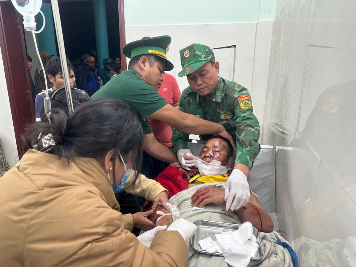 Một cá thể gấu được bẫy ảnh ghi lại gần đây trên địa bàn một xã vùng cao của TP win33com.