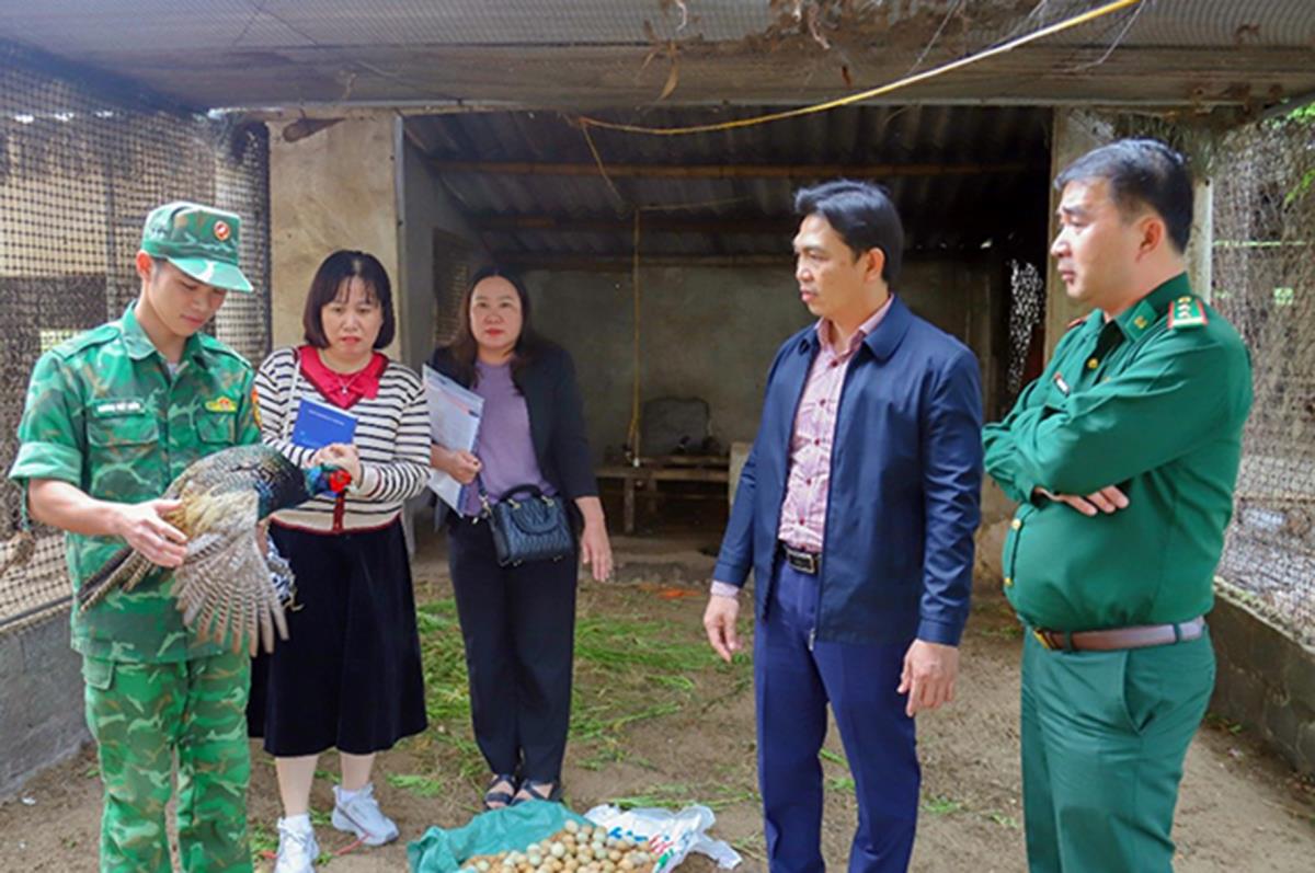 Nhiều hộ gia đình xã Đức Trạch, huyện Quảng Trạch (Quảng Bình) mạnh dạn chuyển đổi sang nuôi chim trĩ đỏ lấy trứng, thu nhập ổn định, góp phần xóa đói, giảm nghèo bền vững.