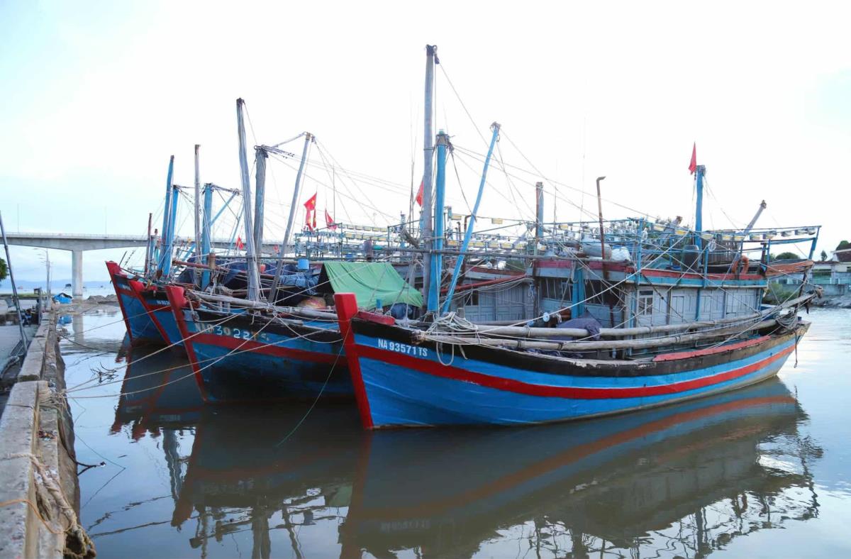 Tàu thuyền được lệnh cấm ra khơi bắt đầu từ 12 giờ ngày 24-9.