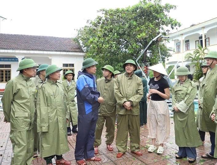 Dọn dẹp cây ngã đổ