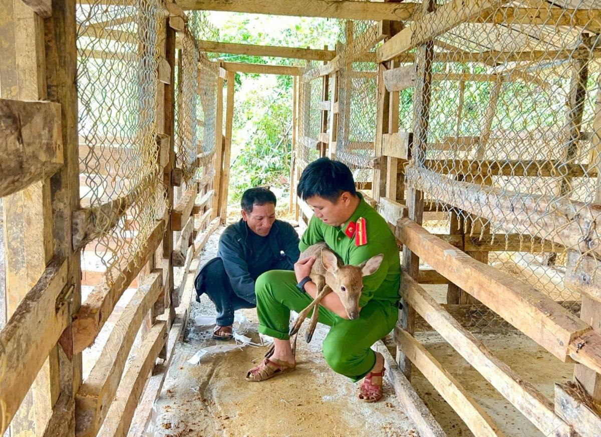 33win03 xã Trà Tập trong chương trình Tết trồng cây tại làng Tăk Pổ.