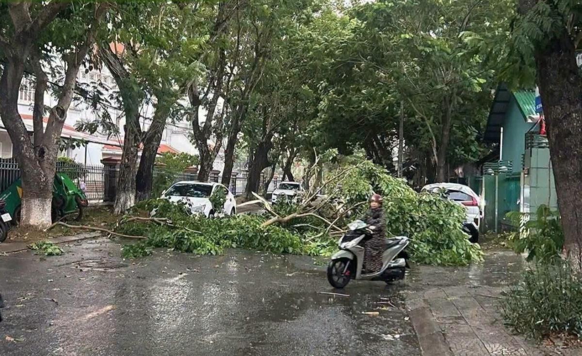 Cành cây lớn bị gãy ở đường Nguyễn Khuyến.